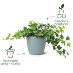 brussels round 20cm white